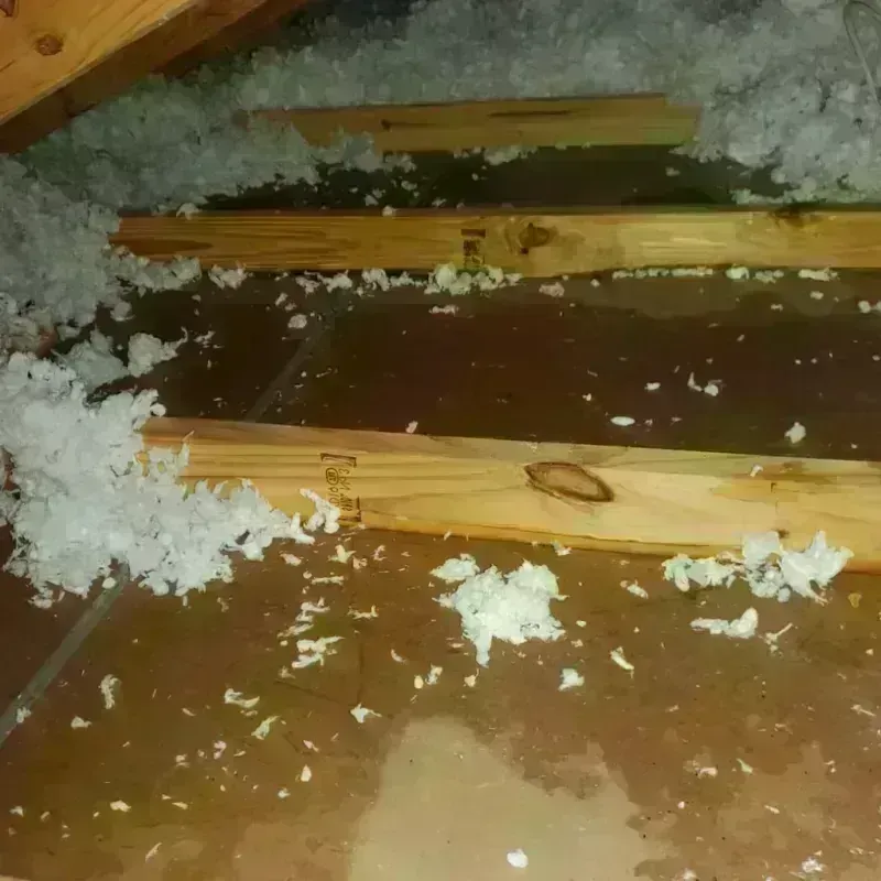 Attic Water Damage in Jewett City, CT