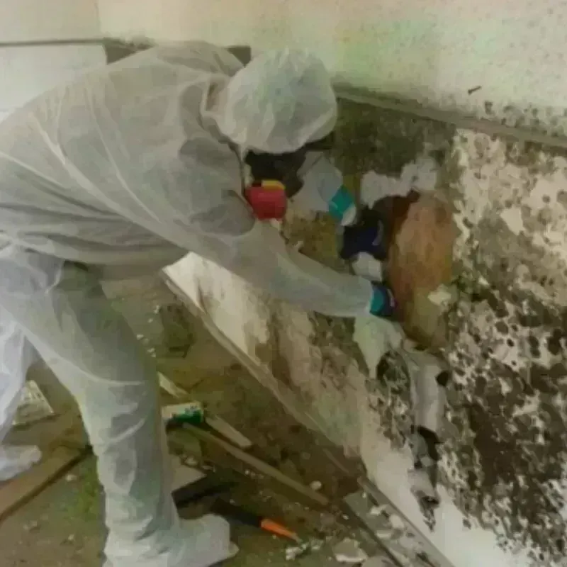 Mold Remediation and Removal in Jewett City, CT